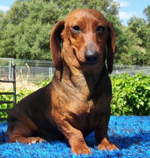 Ivana des Rivages du Lemboulas