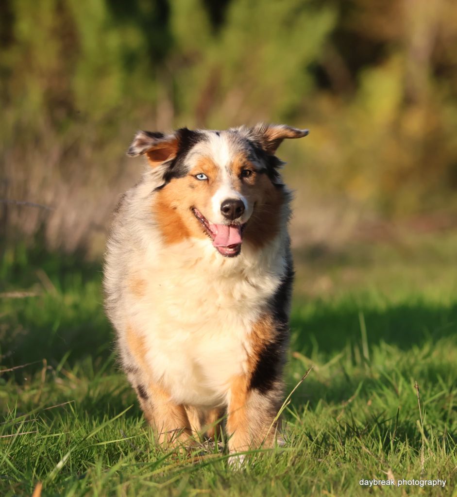 Vida eterna valtra des Rivages du Lemboulas